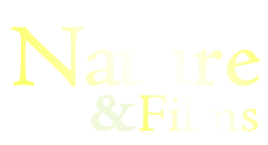 Nature & Films